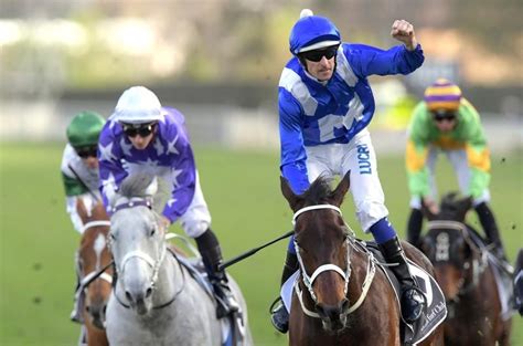 best horse racing tipsters|The Best Horse Racing Tipsters – Ranked .